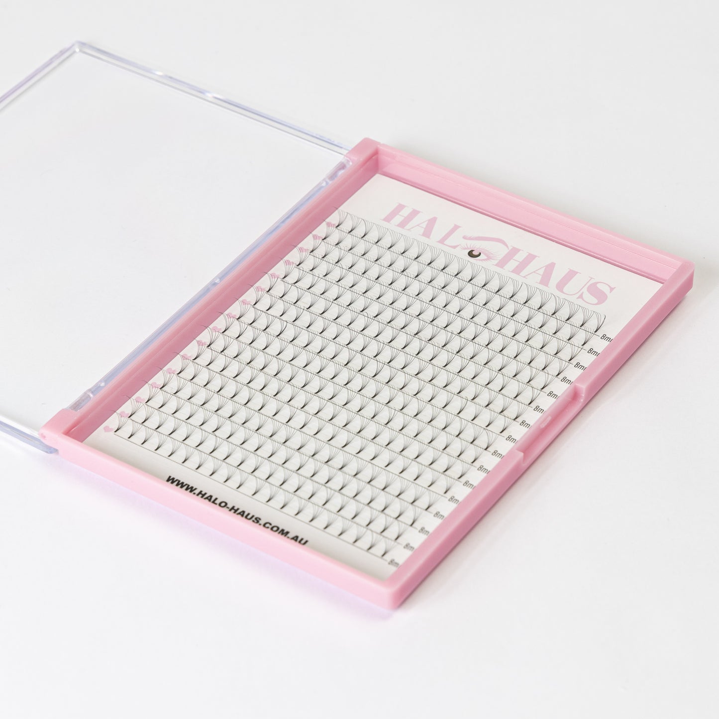 6D XL PREMADE TRAY