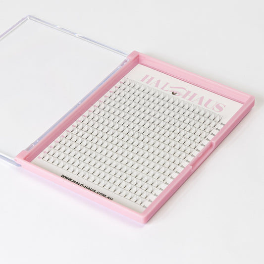 6D XL PREMADE TRAY