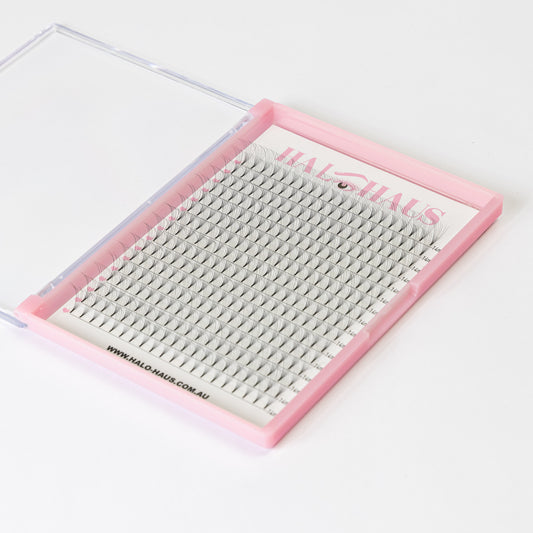 8D XL PREMADE TRAY