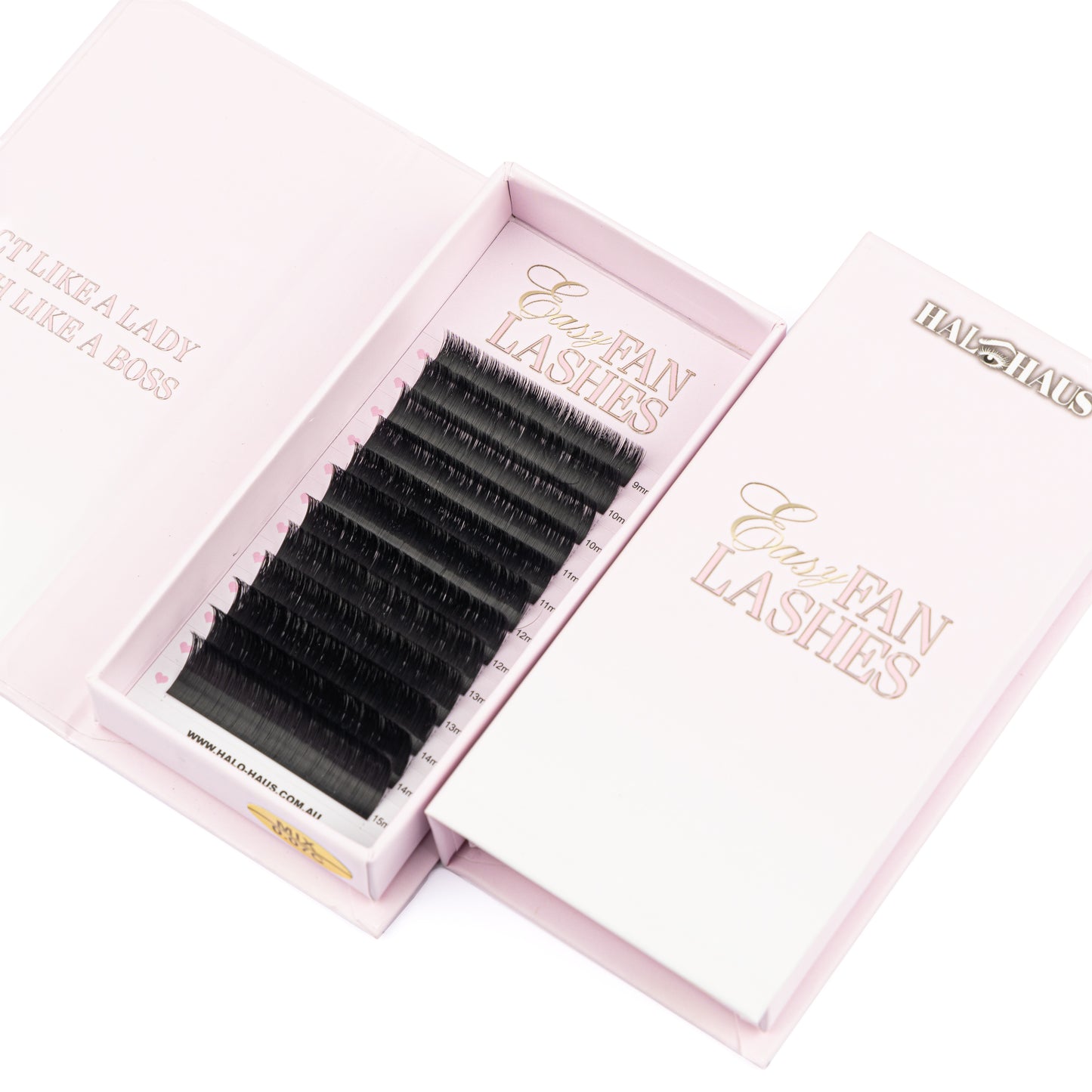 EASY FAN LASHES